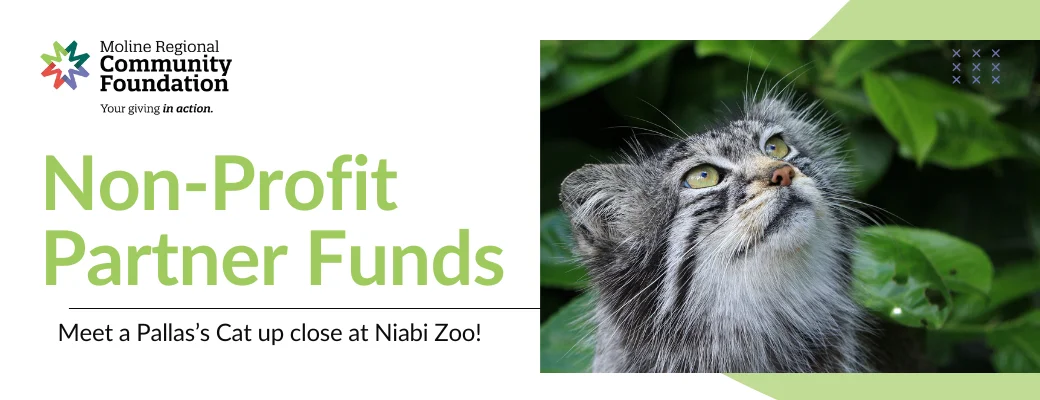 MRCF - Hero Banner - NPP - Niabi Zoo