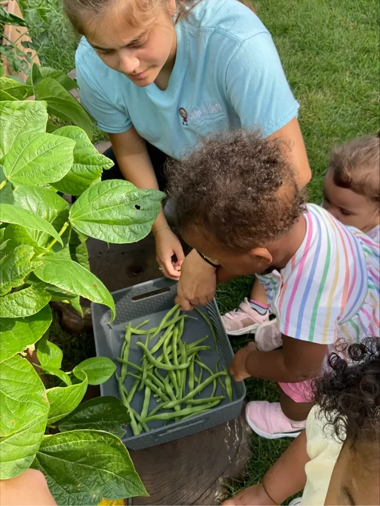 SAL Community Services